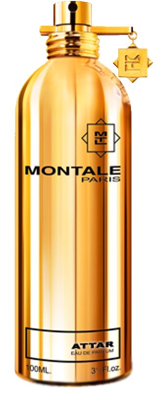 Montale Paris	Attar Eau De Parfum 100 ml 