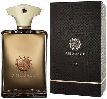 Amouage Dia pour Homme 100ml