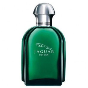  Jaguar Eau de Toilette 100ml